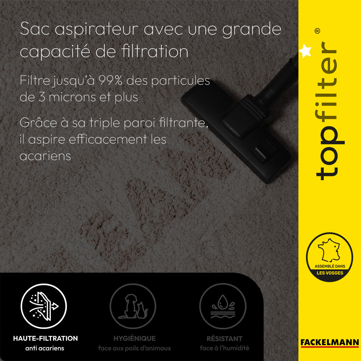 Lot de 4 sacs aspirateur Electrolux et Tornado TopFilter Premium