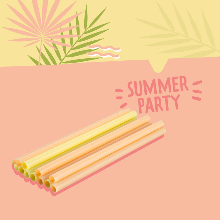 Lot de 12 pailles coloré en plastique Fackelmann Summer Party