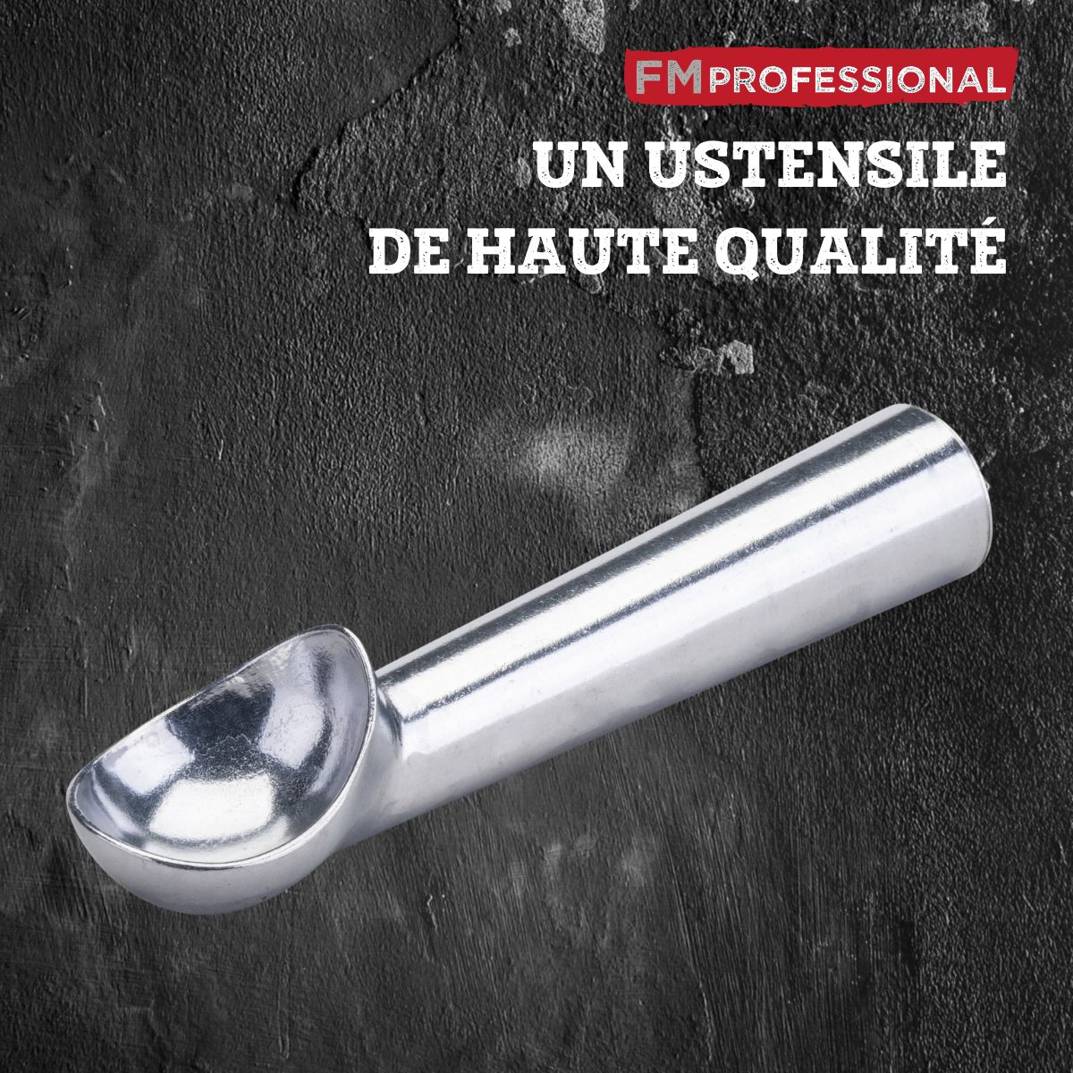 Cuillère à glace FM Professional