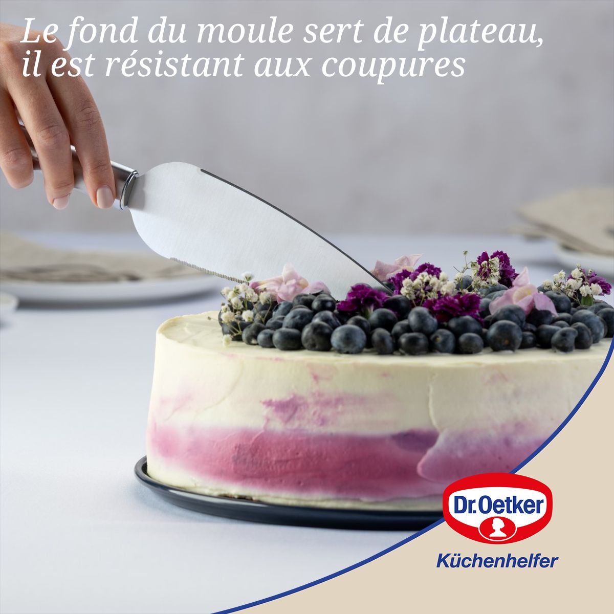 Moule à manqué et savarin double fond 28 cm Dr. Oetker Back Liebe